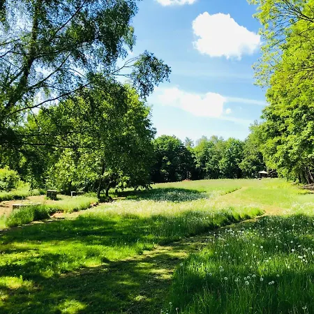 Schwedischer Shelter Unter Buchen Campsite