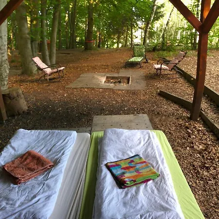 Campsite Schwedischer Shelter Unter Buchen Landolfshausen