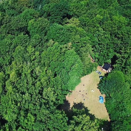 Kemp Schwedischer Shelter Unter Buchen