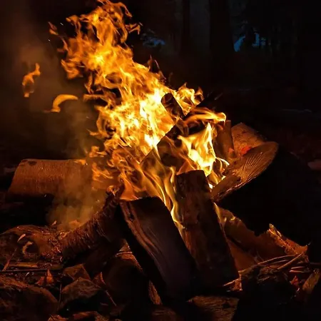 Кемпинг Schwedischer Shelter Unter Buchen *