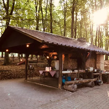 Schwedischer Shelter Unter Buchen Campsite *
