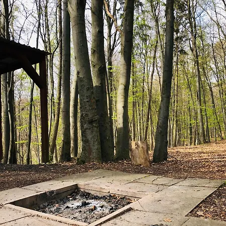 Kemp Schwedischer Shelter Unter Buchen Landolfshausen