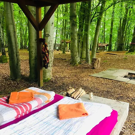 Schwedischer Shelter Unter Buchen Landolfshausen