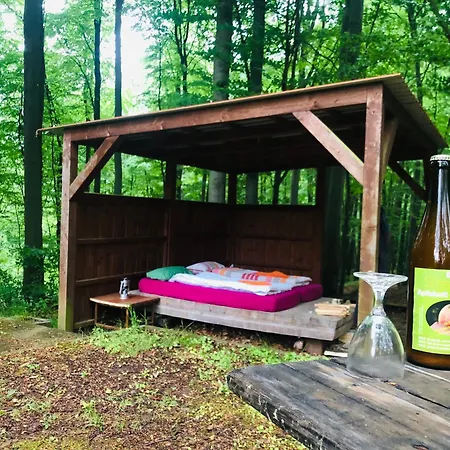 Schwedischer Shelter Unter Buchen