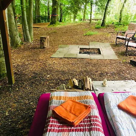 Schwedischer Shelter Unter Buchen