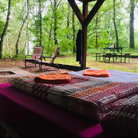 Schwedischer Shelter Unter Buchen Campingplads