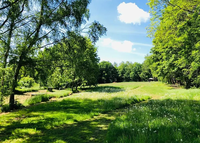 Schwedischer Shelter Unter Buchen Campingplads