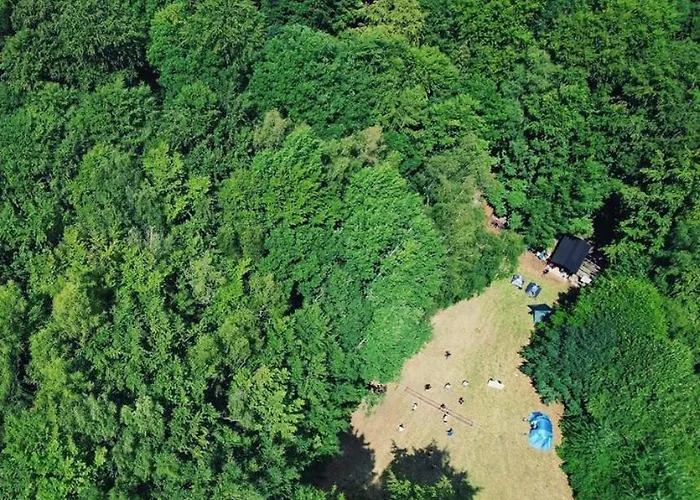 Campingplads Schwedischer Shelter Unter Buchen