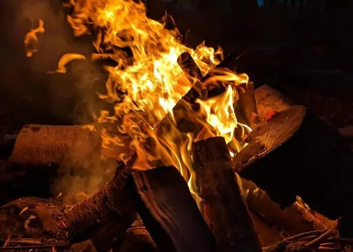 Campingplads Schwedischer Shelter Unter Buchen *