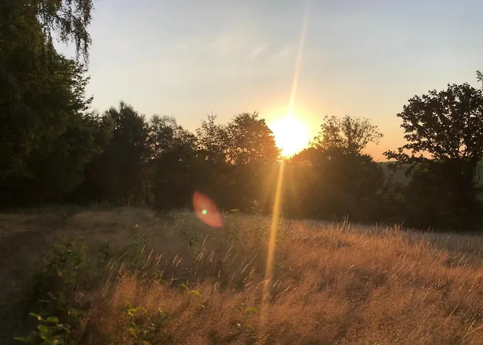 Schwedischer Shelter Unter Buchen *