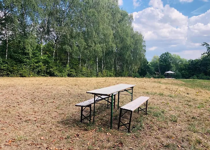 Campingplads Schwedischer Shelter Unter Buchen Landolfshausen