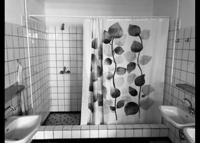 Campingplads Schwedischer Shelter Unter Buchen *